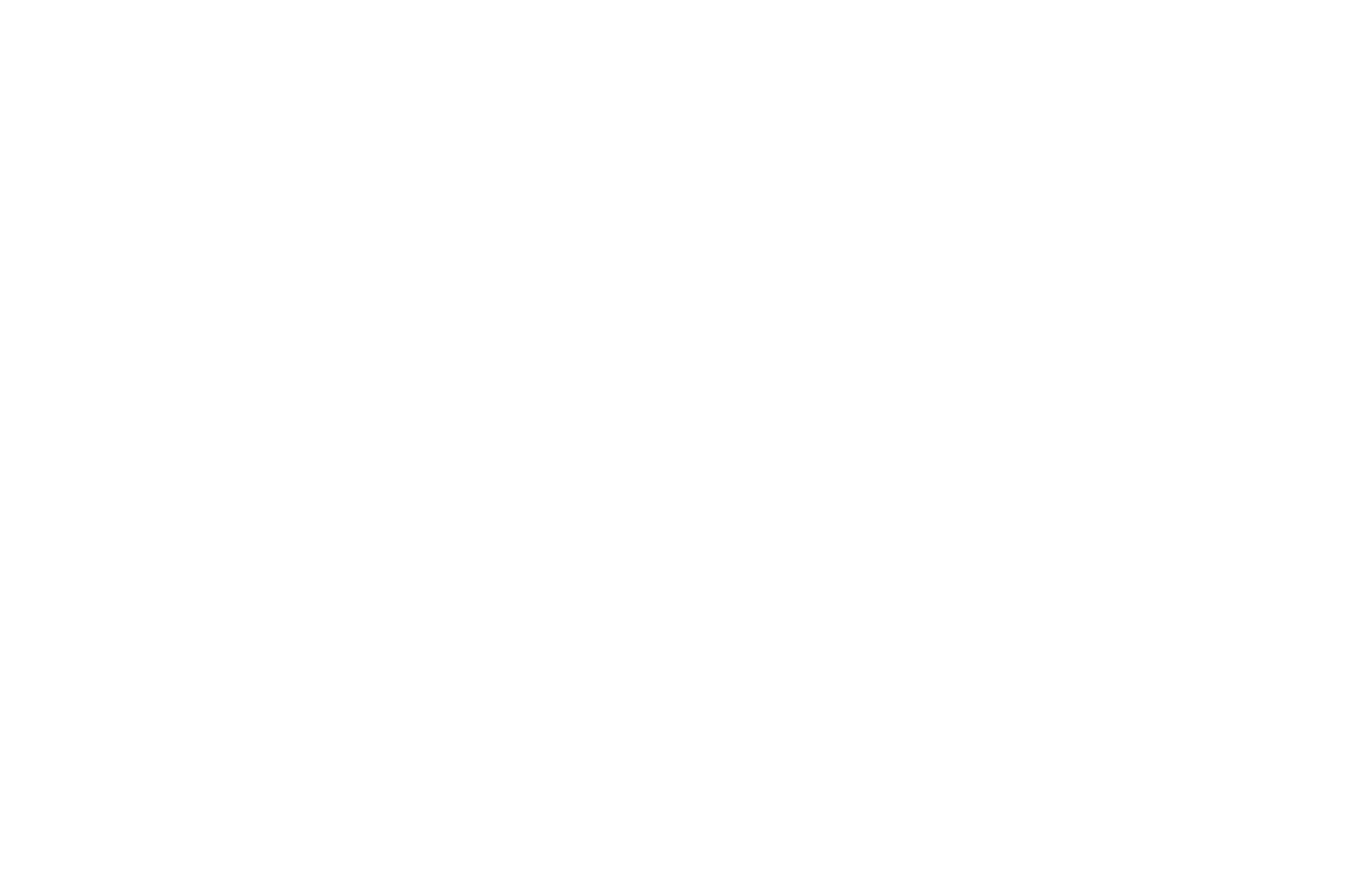 Best Director — The Oaks International Film Festival